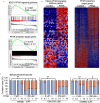 Figure 9A is a set of two Gene set enrichment analysis titled Kyoto Encyclopedia of Genes and Genomes peroxisome proliferator-activated receptor signaling pathway and peroxisome proliferator-activated receptor predicted target genes, plotting enrichment score, ranging from 0.0 to 0.4 in increments of 0.1 and negative 0.15 to 0.20 in increments of 0.05 and ranked list metric (signal 2 noise), ranging from negative 4 to 4 in increments of 2 (y-axis) across Rank in ordered dataset, ranging from 0 to 19000 in increments of 2000 (x-axis) for enrichment profile, hits, and ranking metric scores. Figure 9B is a set of two heatmap. On the left, a heatmap is titled Kyoto Encyclopedia of Genes and Genomes peroxisome proliferator-activated receptor signaling pathway genes, plotting relative difference of expression level of genes (y-axis) across control and Perfluorononanoic acid (x-axis). On the right, a heatmap is titled peroxisome proliferator-activated receptor predicted target genes, plotting relative difference of expression level of genes (y-axis) across control and Perfluorononanoic acid (x-axis). Figure 9C is a stacked bar graph, plotting ovulation rates (percent), ranging from 0 to 120 in increments of 20 (y-axis) across Perfluorononanoic acid, including M K 886 (micromolar), including 0 micromolar and 250 micromolar, each ranging from 0 to 0.1 in increments of 0.1, 0.1 to 1 in increments of 0.9, and 1 to 10 in increments of 9; G S K 3787 (micromolar), including 0 micromolar and 250 micromolar, each ranging from 0 to 0.1 in increments of 0.1, 0.1 to 1 in increments of 0.9, and 1 to 10 in increments of 9; and G W 9662 (micromolar), including 0 micromolar and 250 micromolar, each ranging from 0 to 0.1 in increments of 0.1, 0.1 to 1 in increments of 0.9, and 1 to 10 in increments of 9 (x-axis) for ruptured and unruptured. Figure 9D is a set of six bar graphs, plotting relative expression, ranging from 0 to 100 in increments of 20; 0 to 80 in increments of 20; 0 to 50 in increments of 10; 0 to 80 in increments of 20; 0 to 20 in increments of 5; and 0 to 15 in increments of 5 (y-axis) across control, G W 9662, Perfluorononanoic acid, and G W 9662 plus Perfluorononanoic acid (x-axis) for Star, Cyp11a1, Hsd3b1, Plau, Plat, and IL6. Figure 9E is a bar graph, plotting log progesterone (picogram per milliliter), ranging from 4.5 to 6.0 in increments of 0.5 (y-axis) across control, G W 9662, Perfluorononanoic acid, and G W 9662 plus Perfluorononanoic acid (x-axis) for Progesterone secretion.
