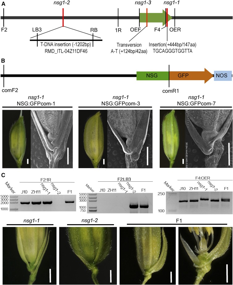 Figure 4.