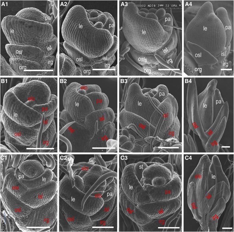 Figure 3.