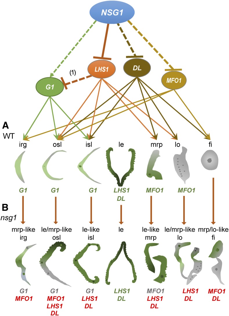 Figure 10.