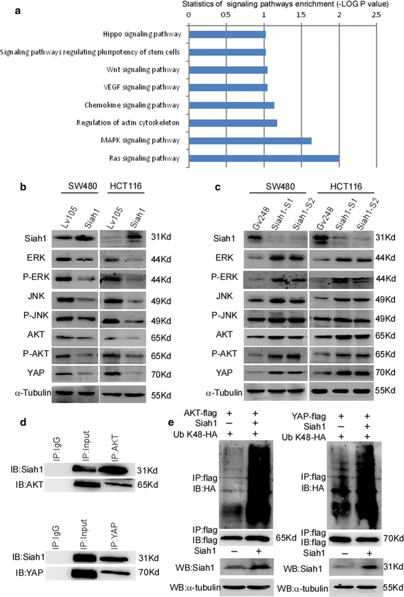 Fig. 6