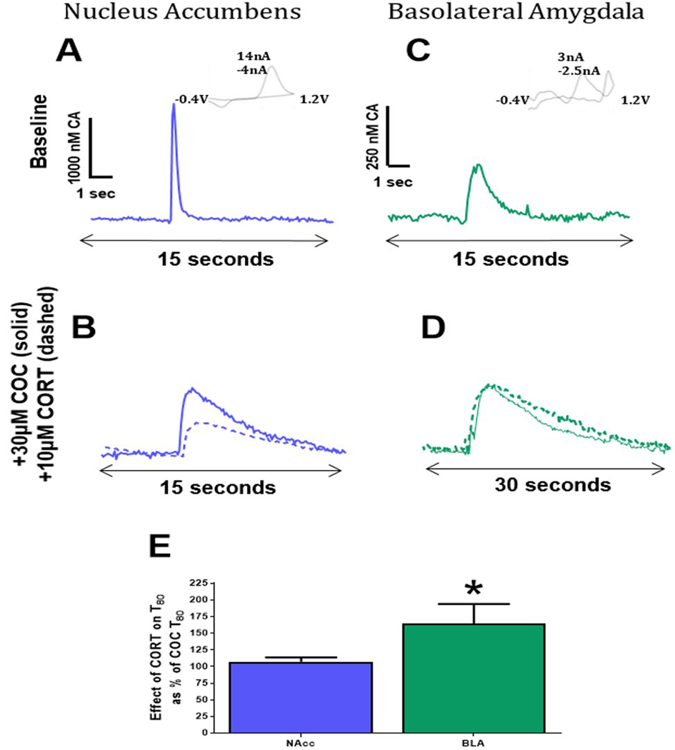 Figure 9: