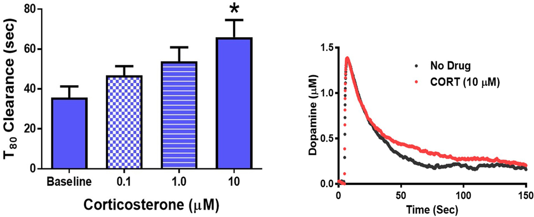 Figure 8: