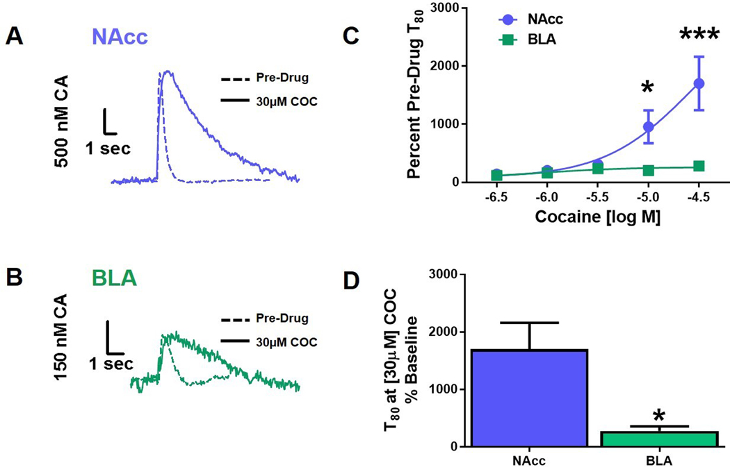 Figure 6: