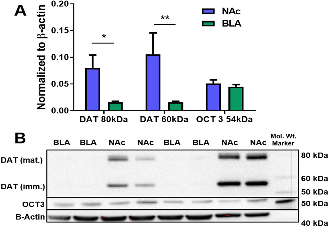 Figure 3: