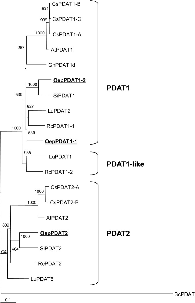 FIGURE 2