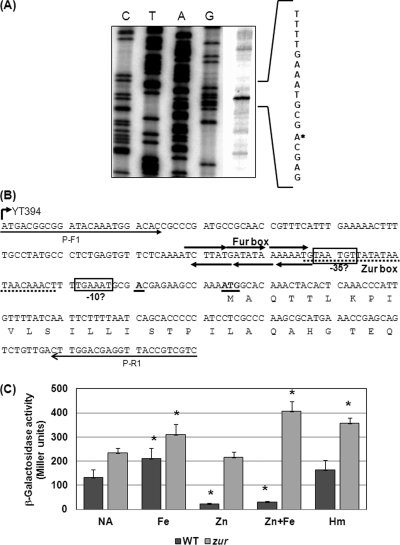 Fig 5