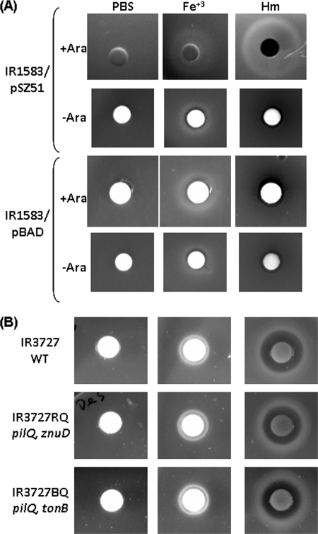 Fig 3