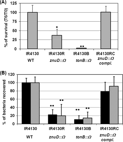 Fig 4