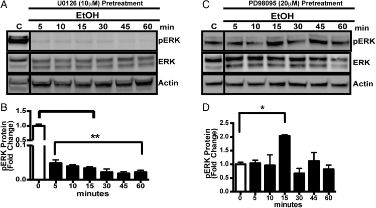 Fig. 2.