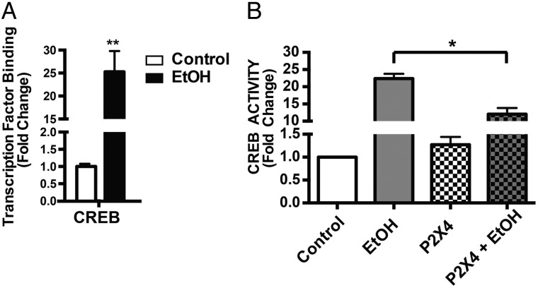 Fig. 4.