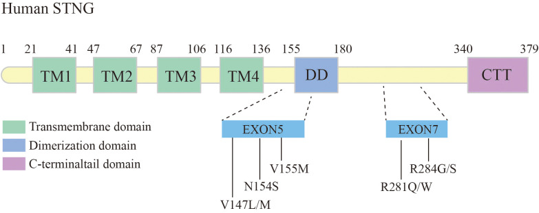 Figure 4