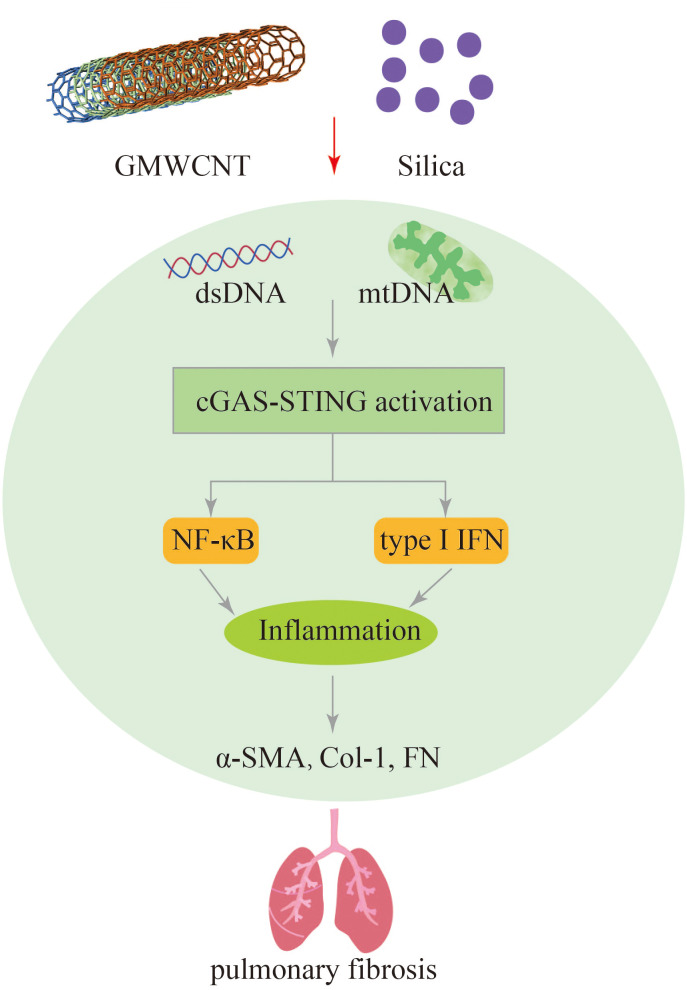 Figure 7