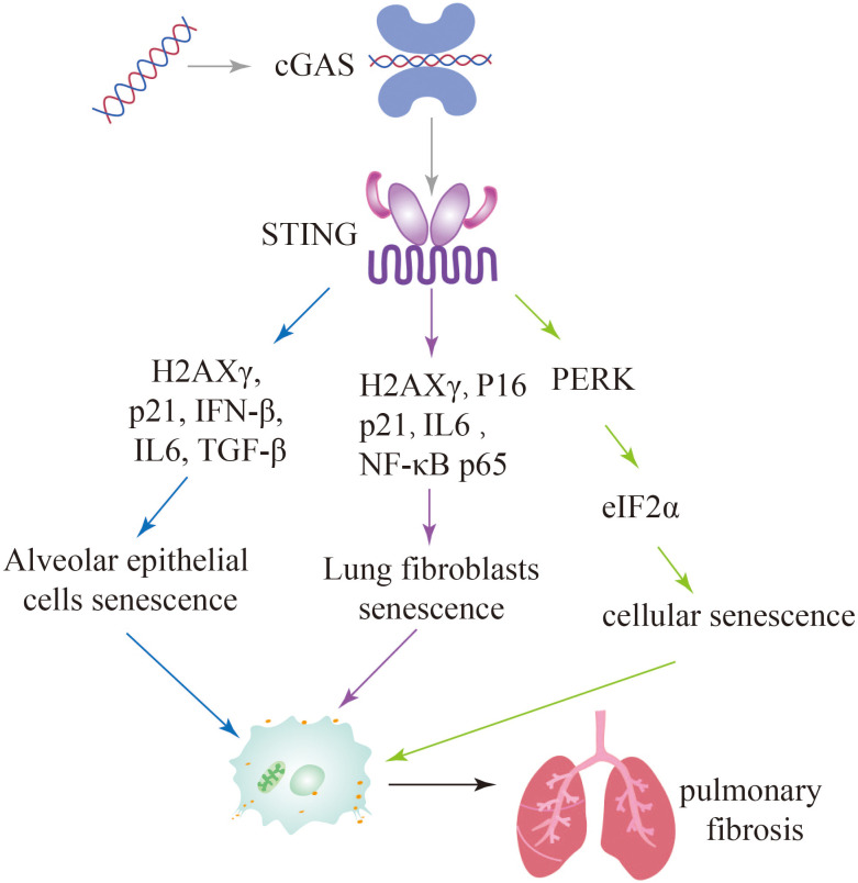 Figure 6