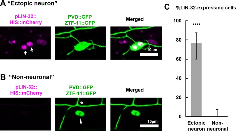 Figure 5—figure supplement 1.