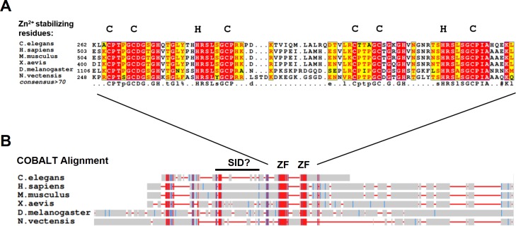 Figure 1—figure supplement 1.