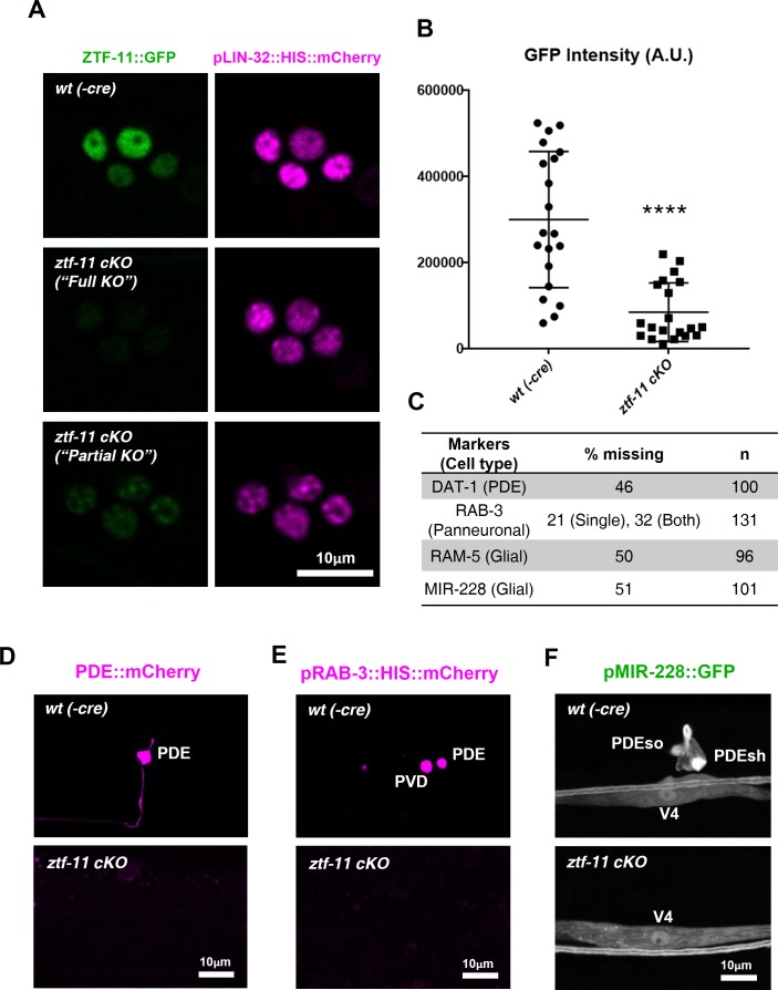 Figure 4—figure supplement 2.