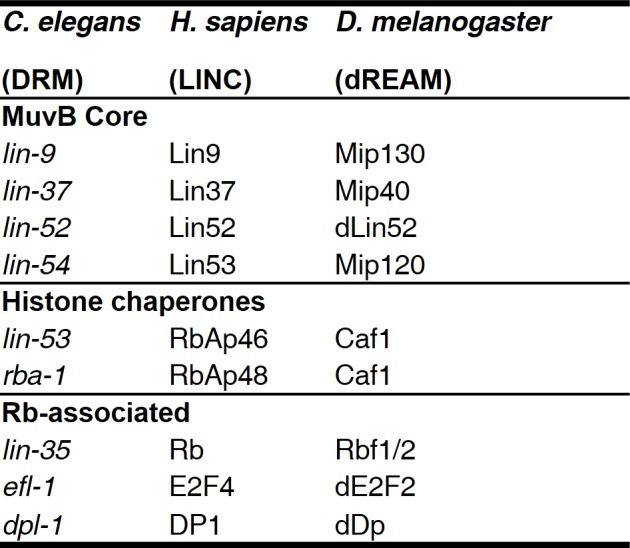 Figure 10—figure supplement 1.