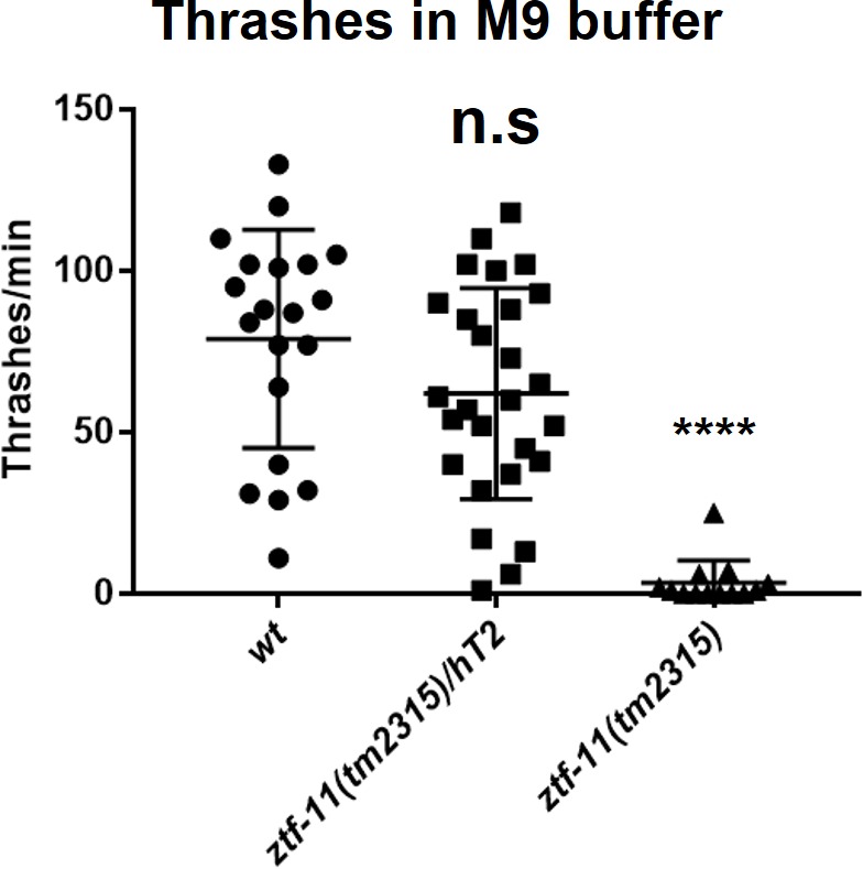 Figure 7—figure supplement 1.