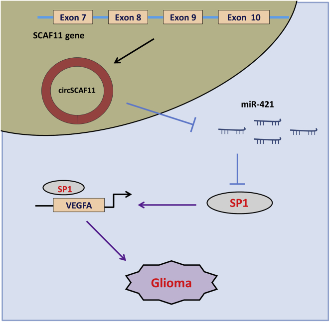 Figure 6