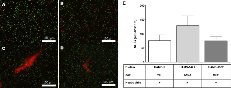 FIG 4