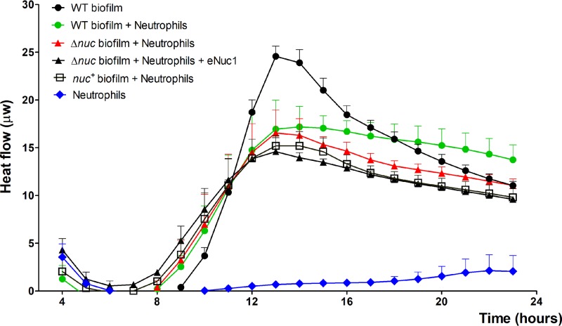 FIG 6