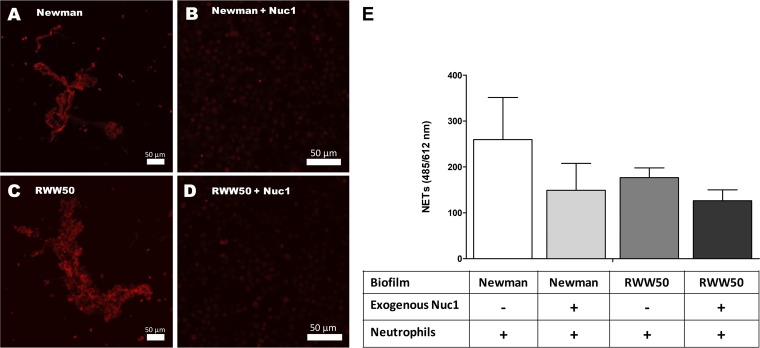 FIG 5