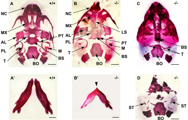 Fig. 3