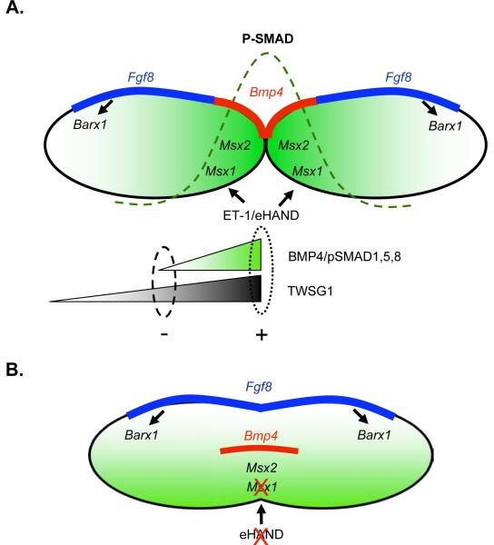 Fig. 9