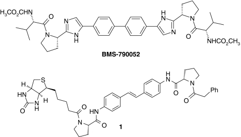 Fig. 1