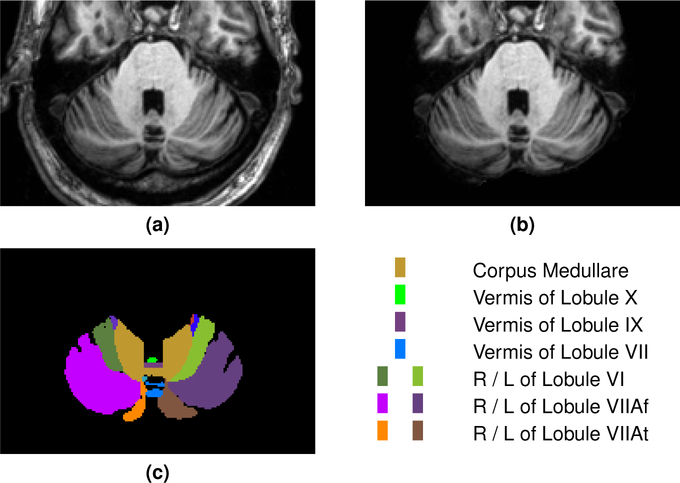 Figure 2: