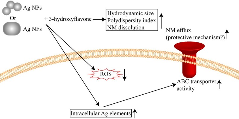 Figure 7.