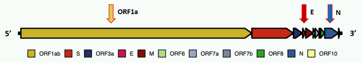 FIGURE 1