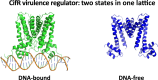 Graphical Abstract