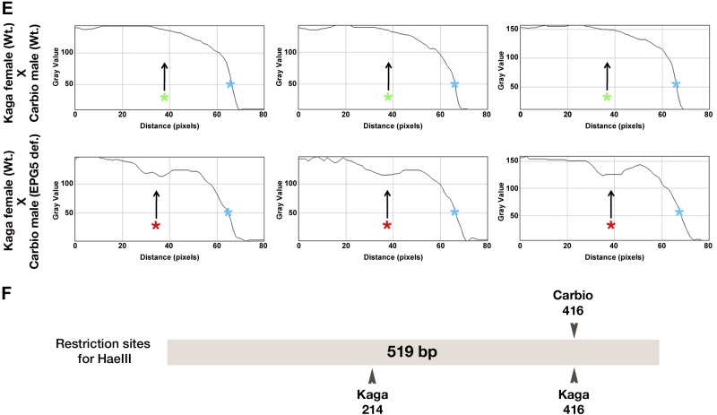 Figure 7.