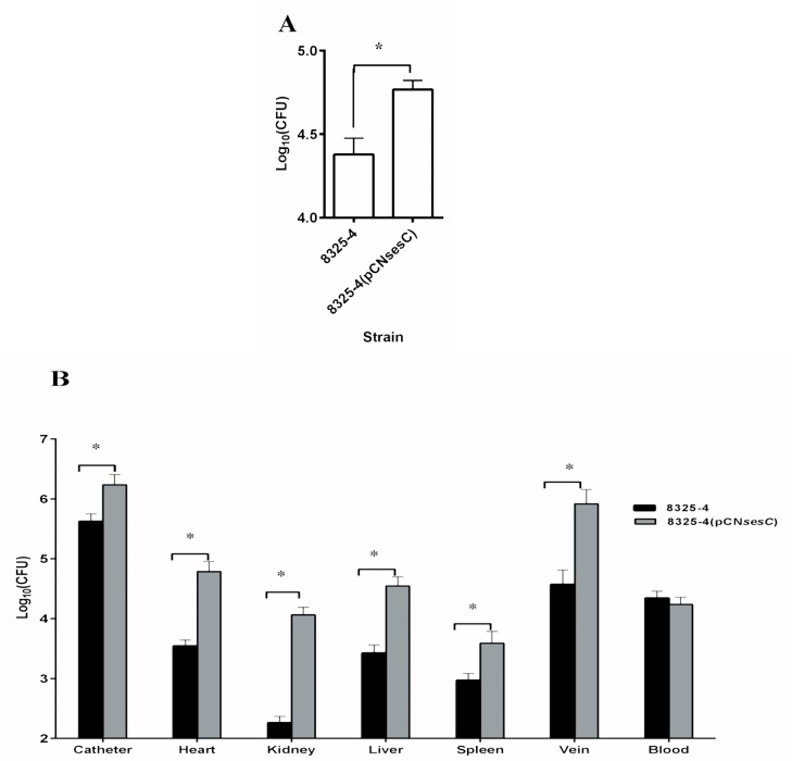 Fig 5