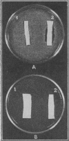 965