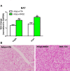 Figure 4—figure supplement 4.