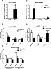 Figure 1—figure supplement 1.