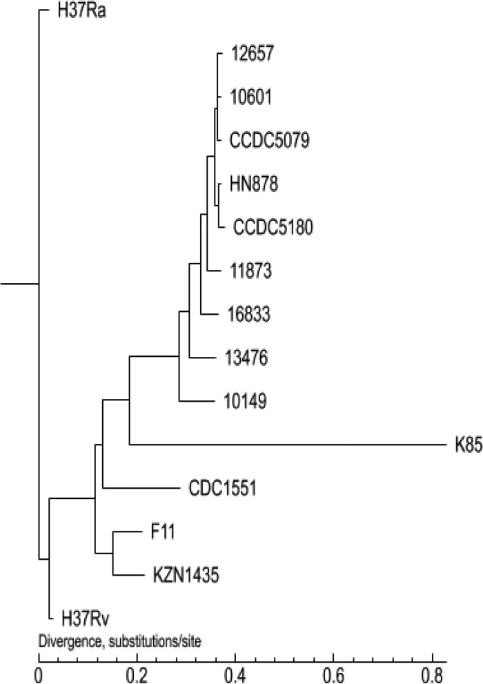 FIG 2