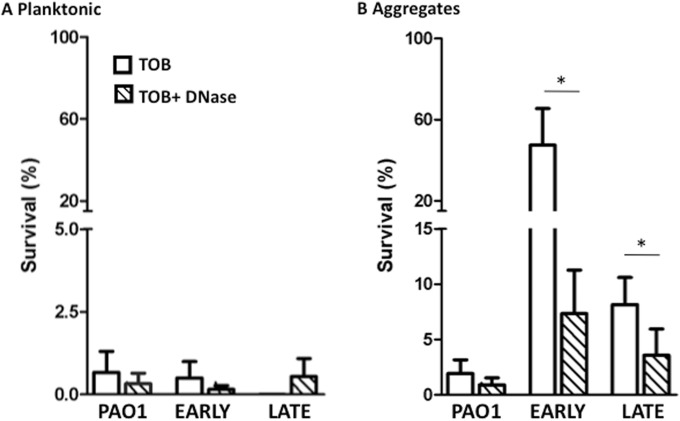 FIG 6