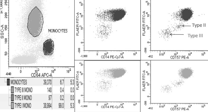 Fig. 3