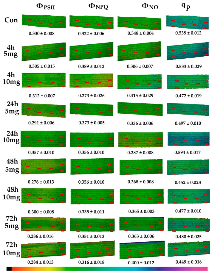 Figure 9