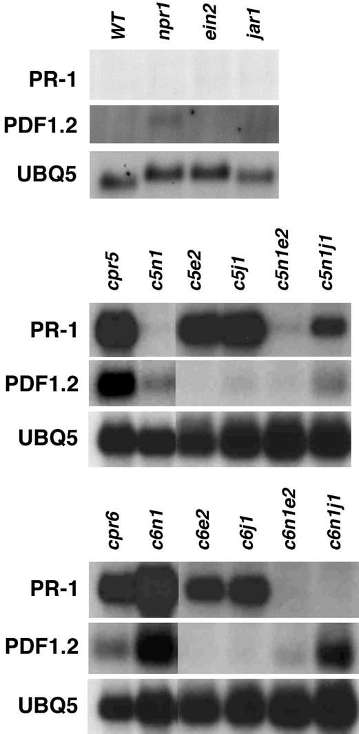 Figure 6.