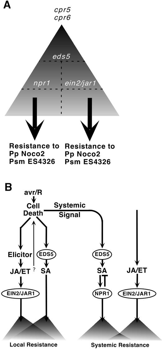 Figure 10.