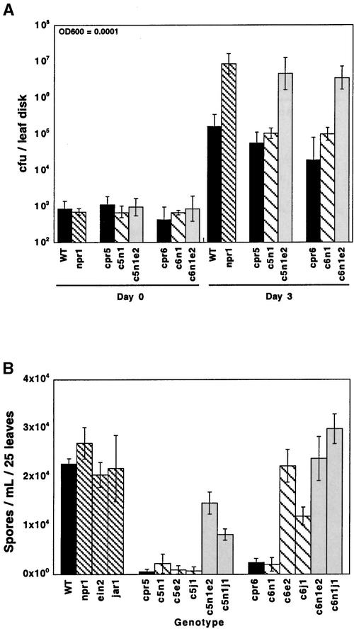 Figure 7.