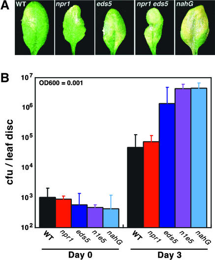 Figure 5.