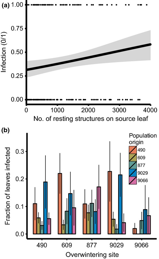 Fig 5