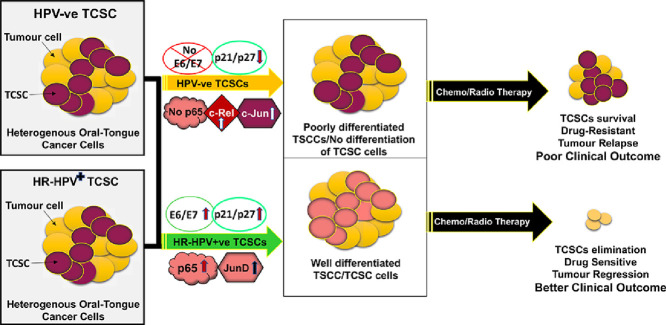 Image, graphical abstract