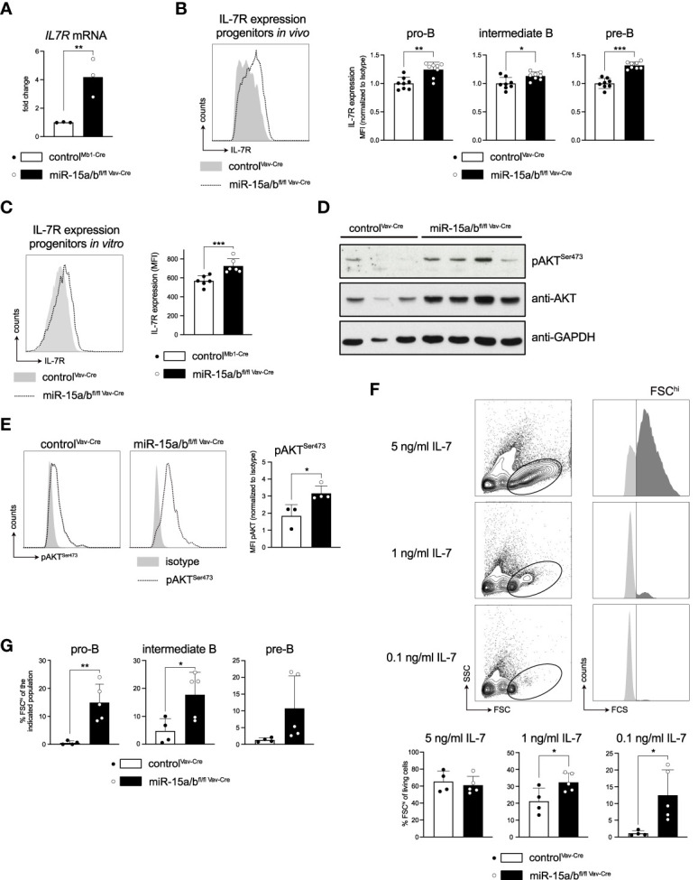 Figure 5